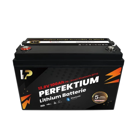 Perfektium Batéria LiFePO4 PB 100Ah 12,8V 1280Wh Fosfát lítia Inteligentná BMS s Bluetooth