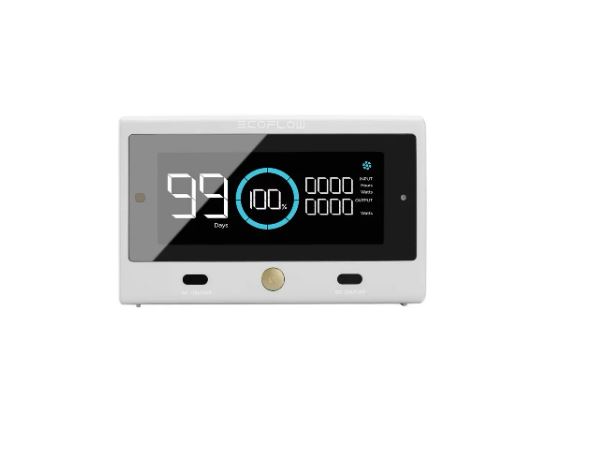 EcoFlow DELTA Pro remote control (display)